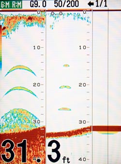 Furuno FCV585 Fishfinder Delivers High Performance in Dual Frequency Mode