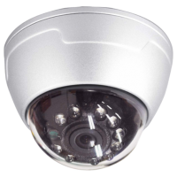 Smart Witness SVA029-S Wide Angle Dome Camera
